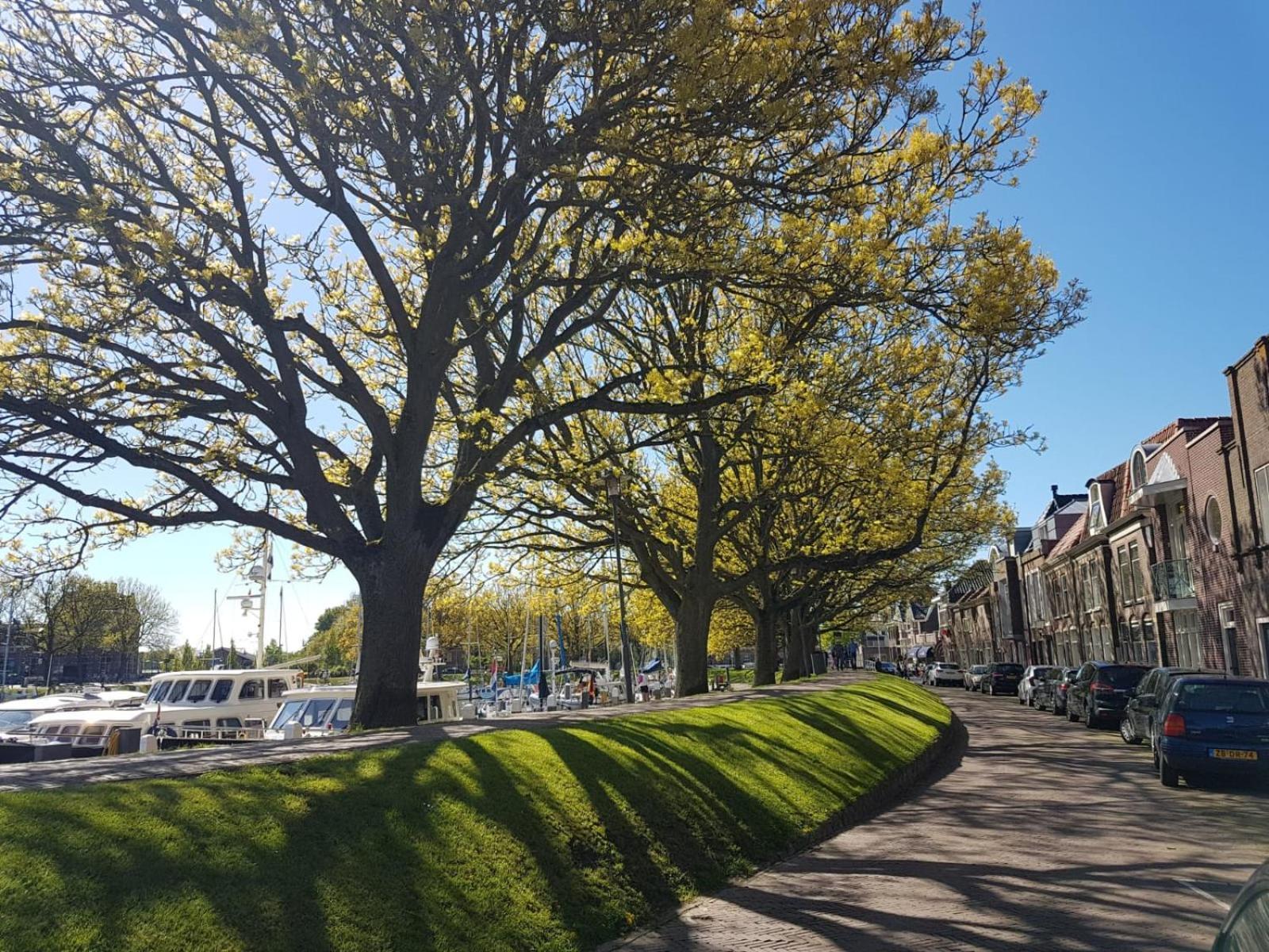 Appartement Havenzicht Enkhuizen Exteriér fotografie
